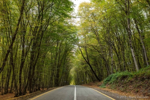 Road from Quba to Xinaliq