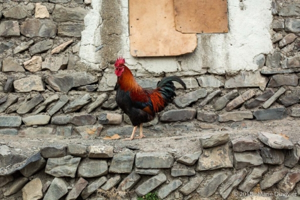Xinaliq village