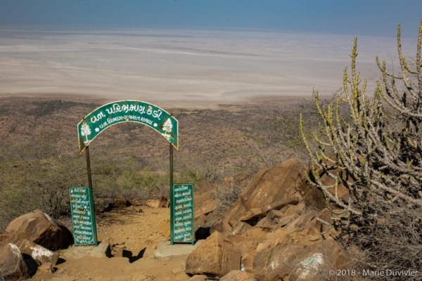 View point over the Rann of Kutch