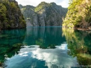 Coron, barracuda lake