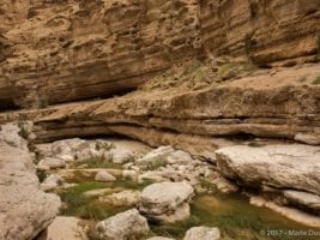 Wadi Shab