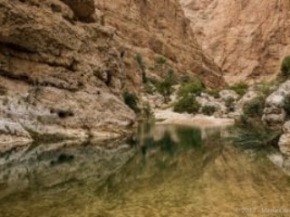 Wadi Shab