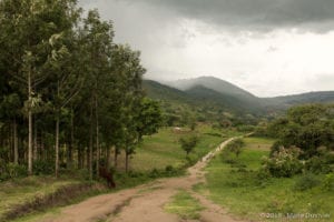 Omo valley, on the way to an Ari tribe village
