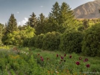 Khorog, botanical garden