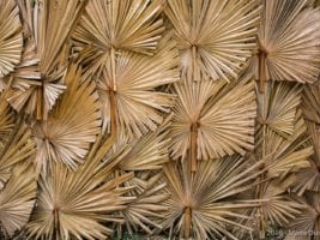 Kadurugoda Buddhist Temple