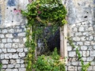 Jaffna and surroundings, traces of the civil war