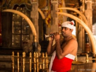 Kandy, Temple of the tooth