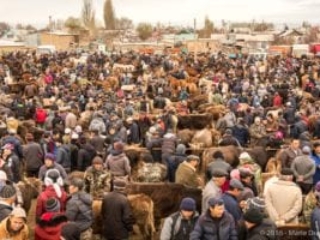 Karakol, animal market