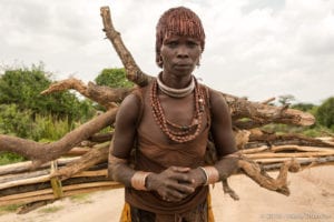 Omo valley, Hamar lady carrying wood on her back