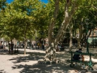 Saint-Tropez, Place des Lices