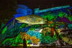 Tournon-sur-Rhône Castle, sound and light show