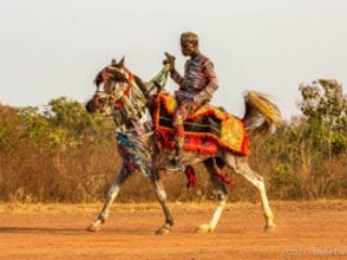 Sokodé, Horse dance, Togo