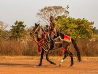 Sokodé, Horse dance, Togo
