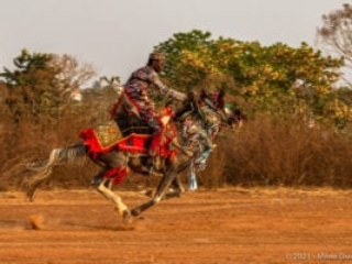 Sokodé, Horse dance, Togo