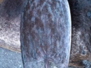 Kara region, Tcharé, Togo