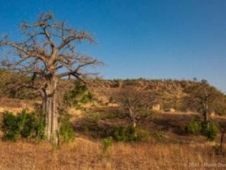 Kara region, Koutammakou, Togo