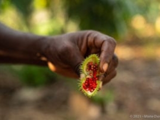 Kpalimé, Togo