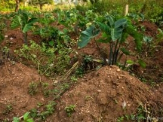 Kpalimé, Togo