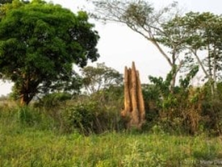 Kpalimé, Togo