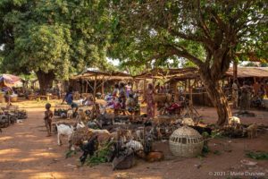 Abomey, fetish market, Benin