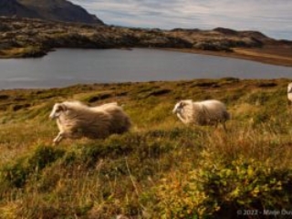 Snaefellsnes Peninsula