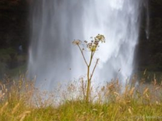 Skogafoss