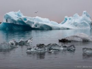 Jökulsárlón Glacier Lagoon