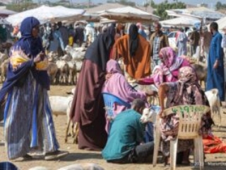 Hargeisa, Livestock market, Somaliland