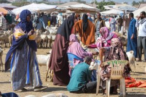 Hargeisa, Livestock market, Somaliland