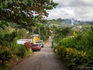Dominica, near red rocks