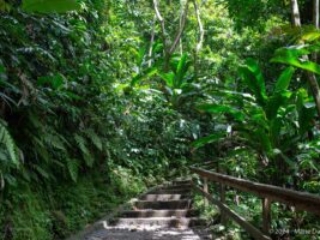 Dominica, Trafalgar falls