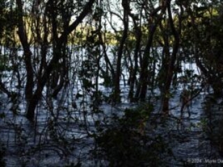 Ometepe island, Nicaragua