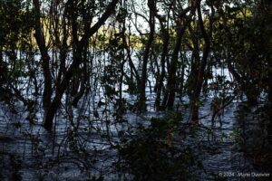 Ometepe island, Nicaragua