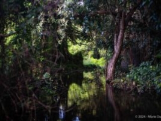 Ometepe island, Nicaragua