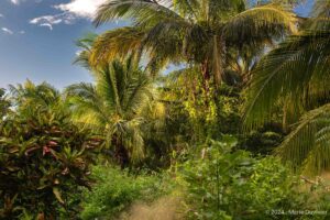 Ometepe island, Nicaragua