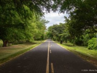 Ometepe island, Nicaragua