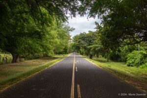 Ometepe island, Nicaragua